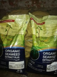 Seaweed Extract - Image 5