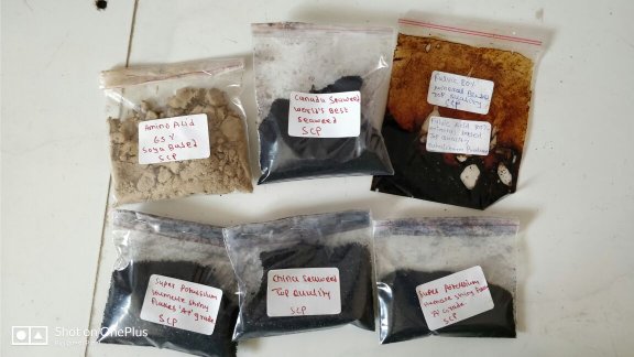 Seaweed Extract - Image 8