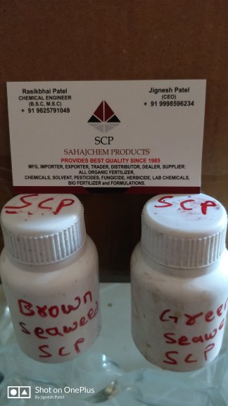 Seaweed Extract - Image 3