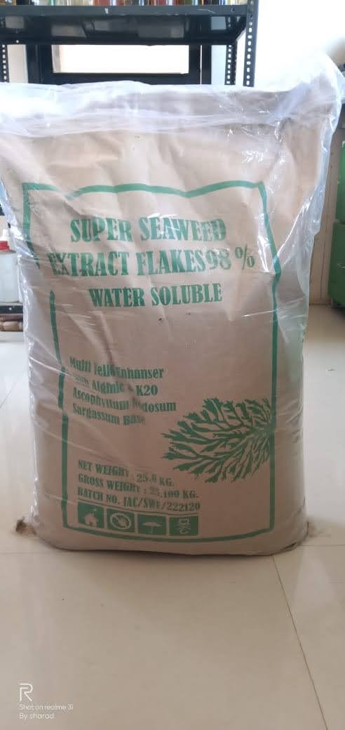Seaweed Extract - Image 4