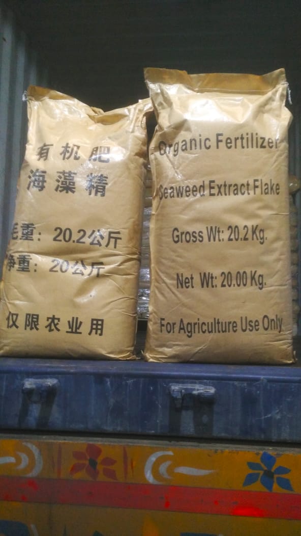 Seaweed Extract - Image 6