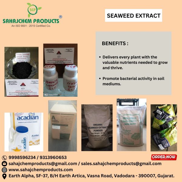 Seaweed Extract - Image 10